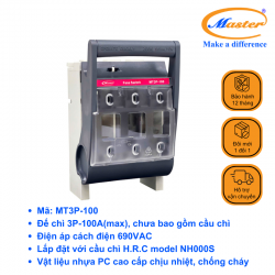 Ngắt Mạch Cầu Chì MT3P-100 Master