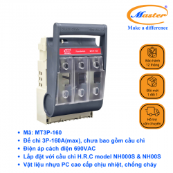 Ngắt Mạch Cầu Chì MT3P-160 Master